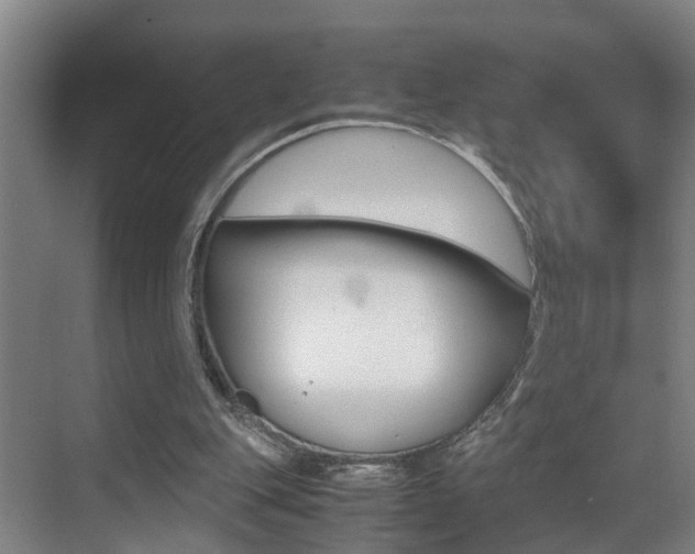 X0000070410151200606091004