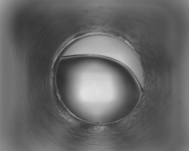 X0000070410152200606091004