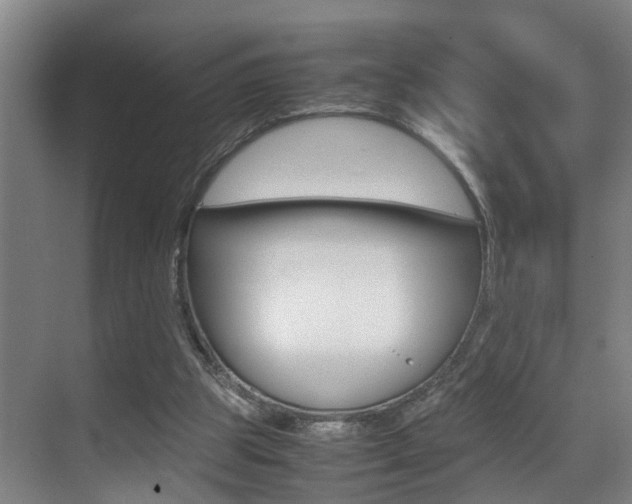 X0000070410153200606091004