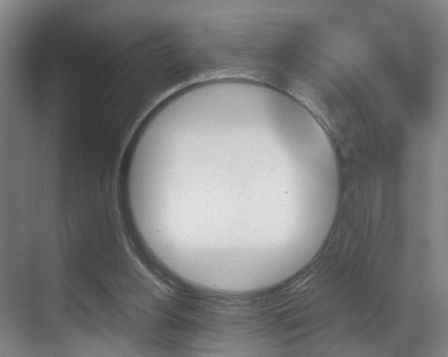 X0000070410156200606091004