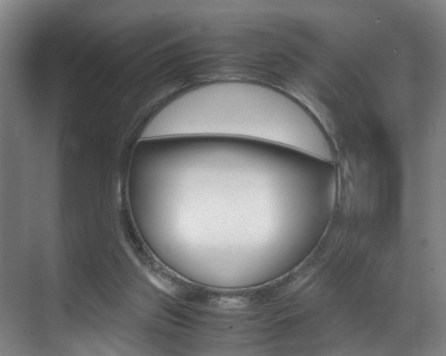 X0000070410157200606091004