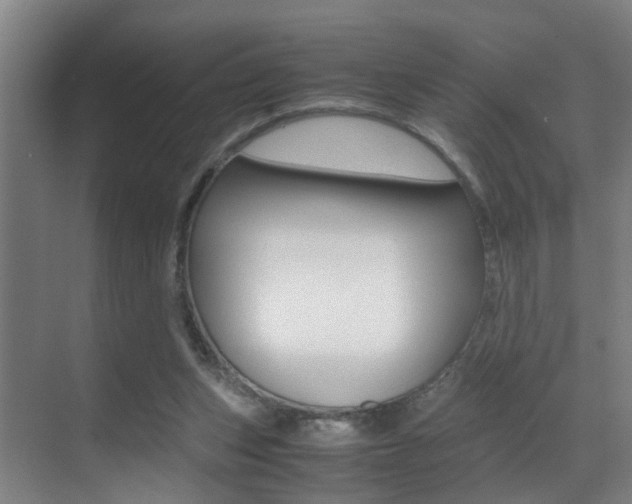 X0000070410159200606091004