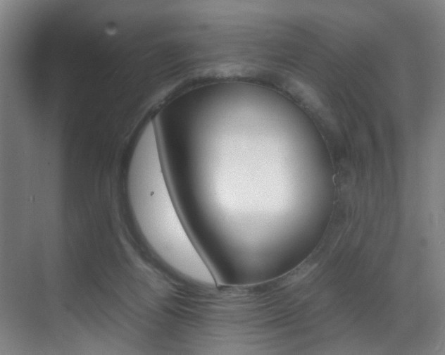 X0000070410164200606091004