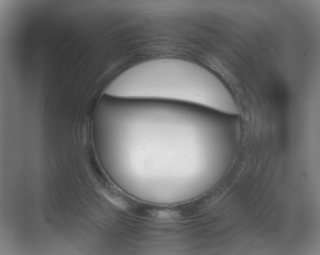 X0000070410165200606091004