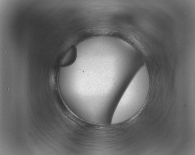 X0000070410166200606091005