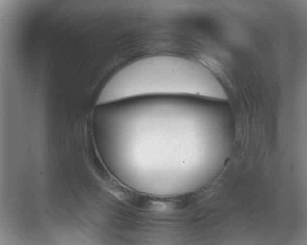 X0000070410167200606091005