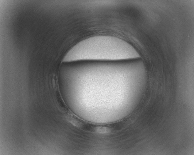 X0000070410169200606091005