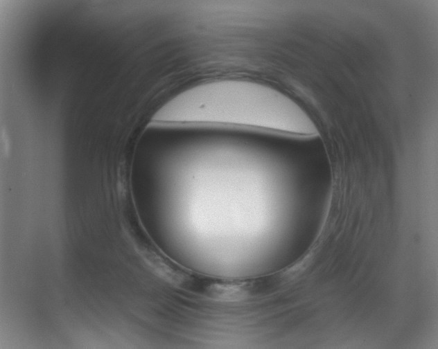 X0000070410170200606091005