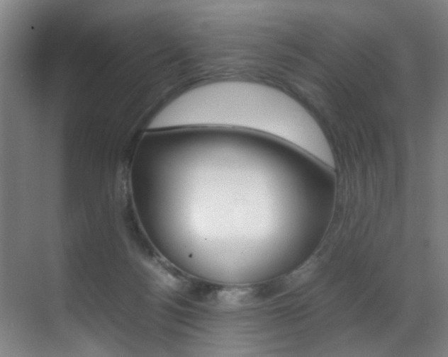 X0000070410172200606091005