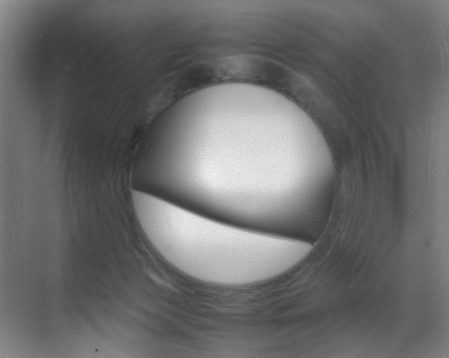 X0000070410173200606091005