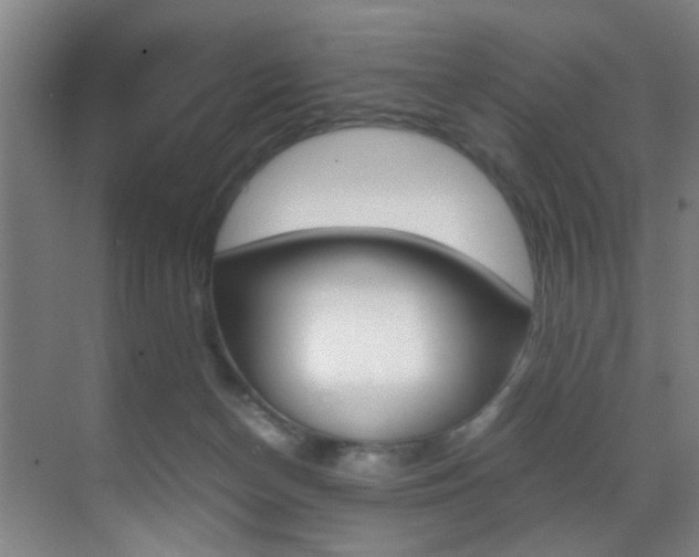 X0000070410174200606091005