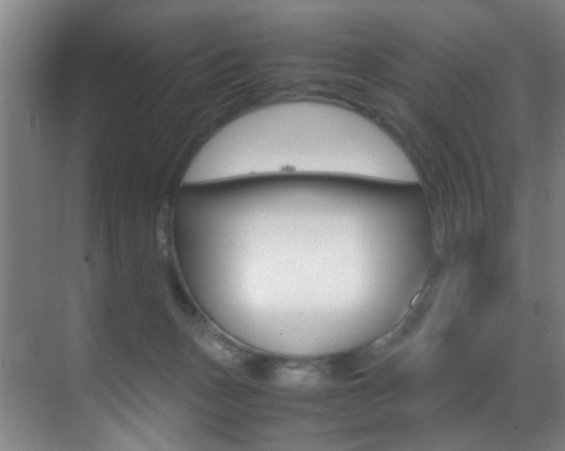 X0000070410175200606091005