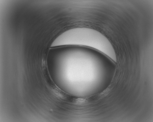 X0000070410176200606091005