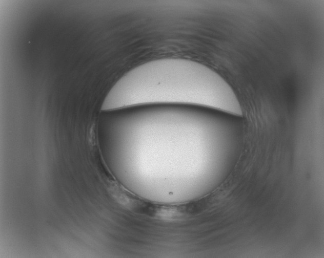 X0000070410177200606091005