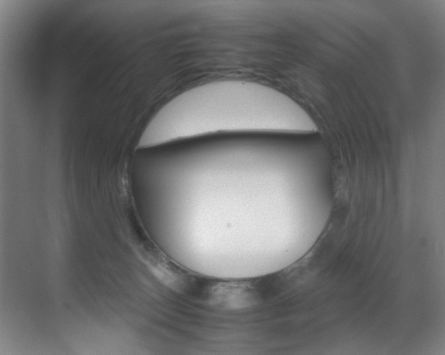 X0000070410179200606091005