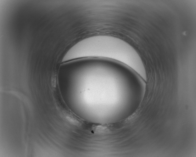 X0000070410180200606091005