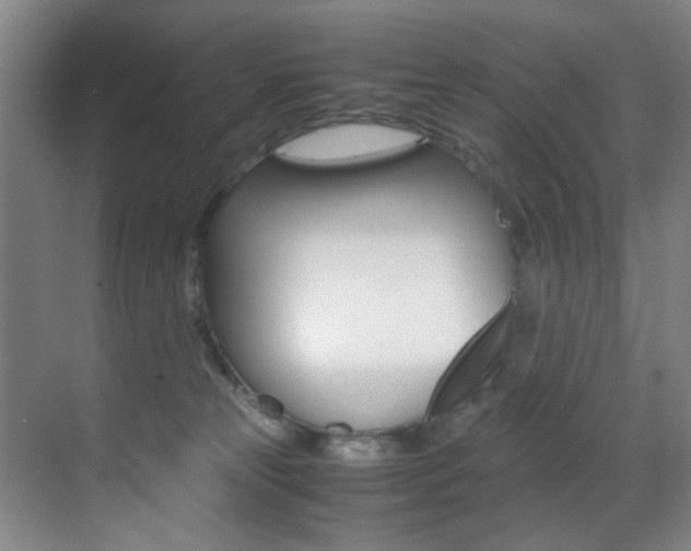 X0000070410181200606091005