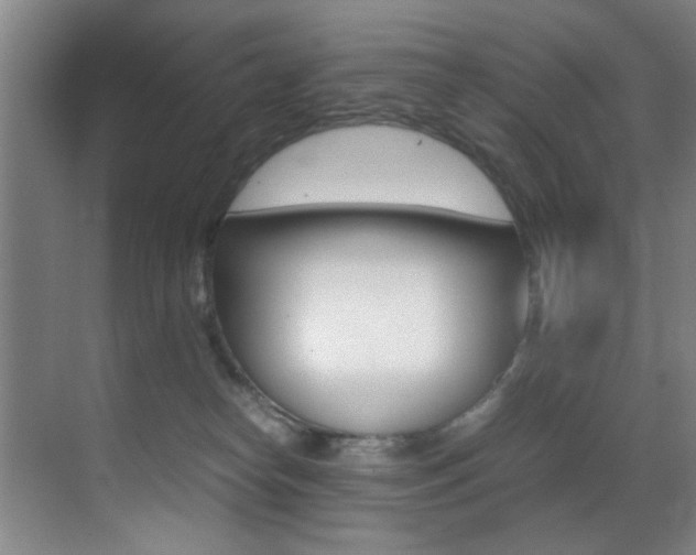 X0000070410182200606091005