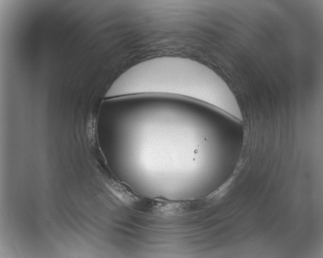 X0000070410186200606091005