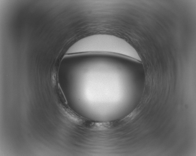 X0000070410188200606091005