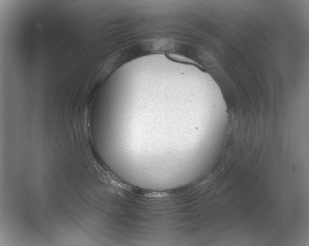 X0000070410189200606091005