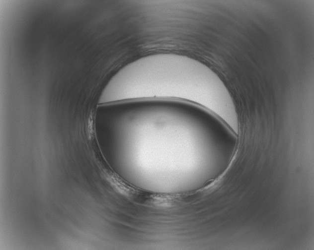 X0000070410190200606091005