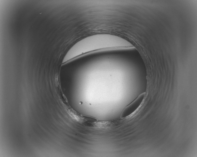 X0000070410192200606091005