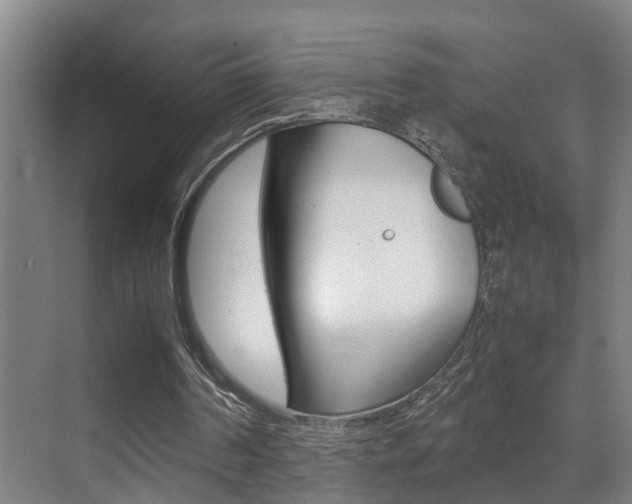 X0000070410194200606091004