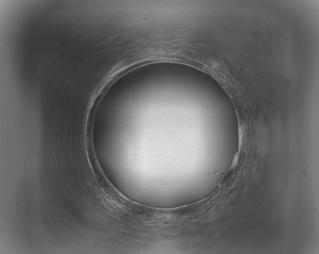 X0000070410195200606091004