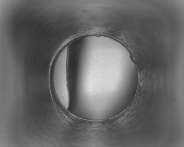 X0000070410196200606091004