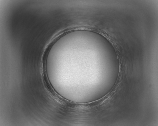 X0000070410198200606091004