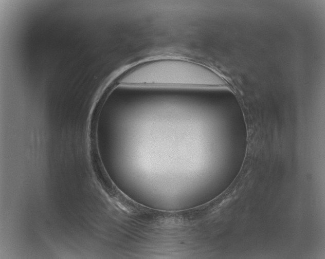 X0000070410200200606091004