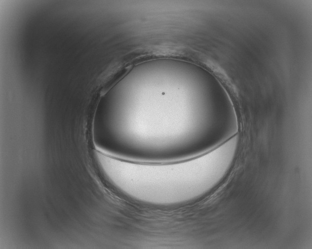 X0000070410201200606091004