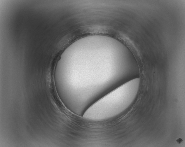 X0000070410202200606091004