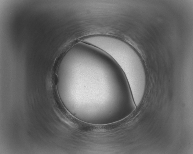 X0000070410203200606091004