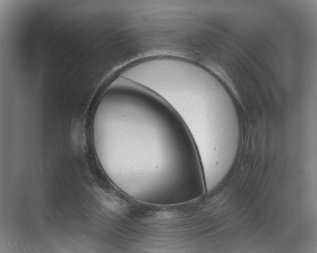 X0000070410204200606091004