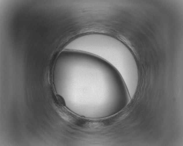 X0000070410205200606091004