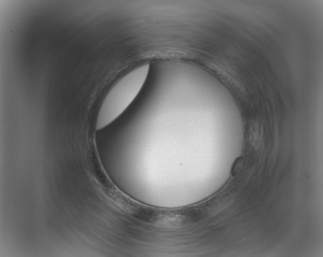 X0000070410206200606091004