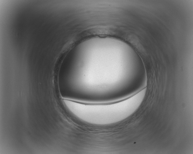 X0000070410207200606091004