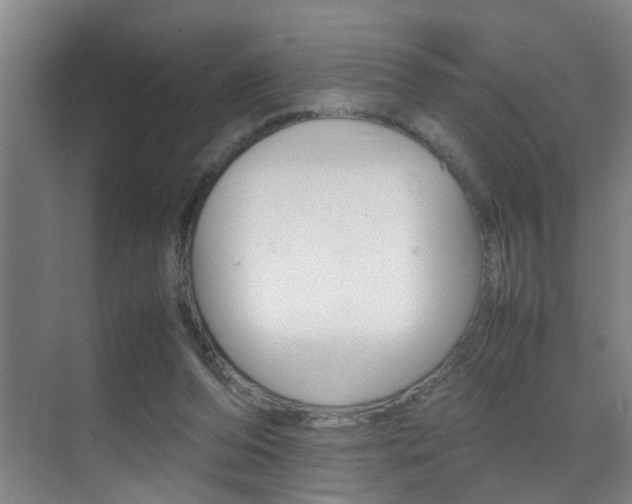 X0000070410208200606091004