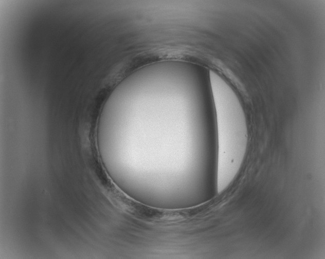 X0000070410209200606091004