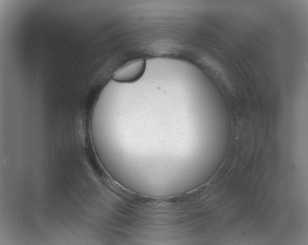 X0000070410210200606091004