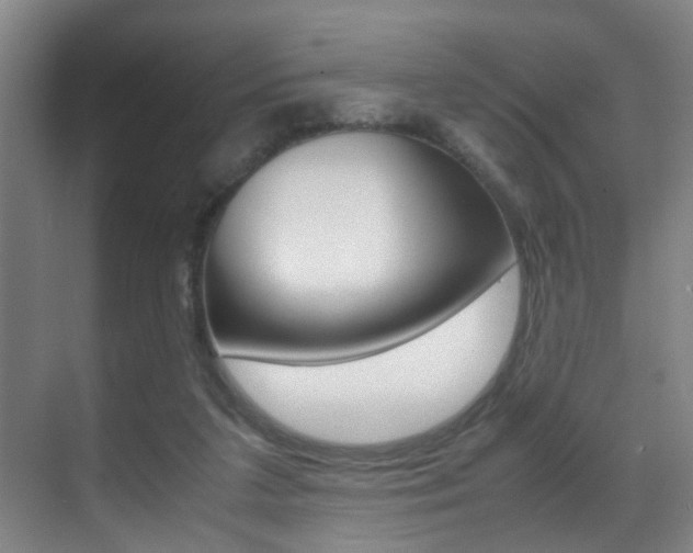 X0000070410211200606091004