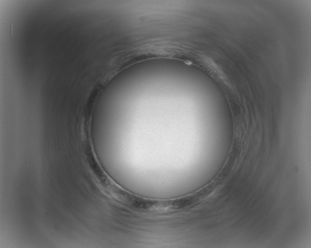 X0000070410213200606091004