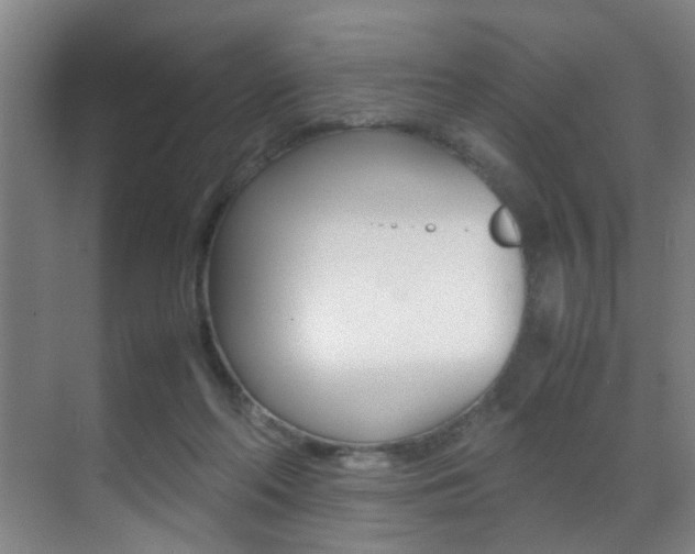 X0000070410214200606091004