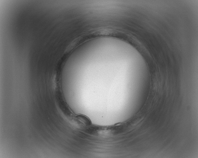 X0000070410216200606091004