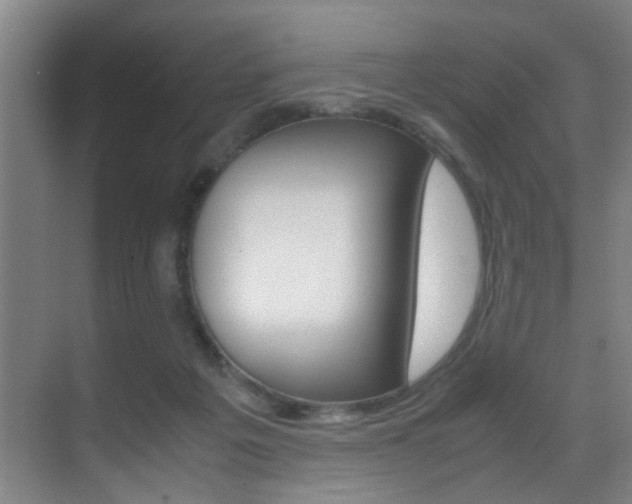 X0000070410217200606091004