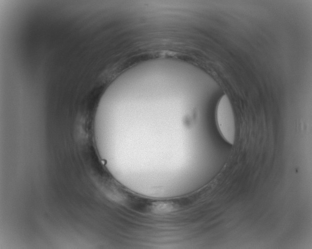 X0000070410218200606091004