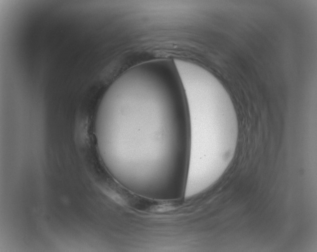 X0000070410219200606091004