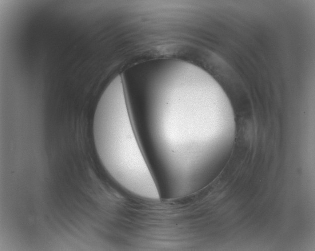 X0000070410220200606091004